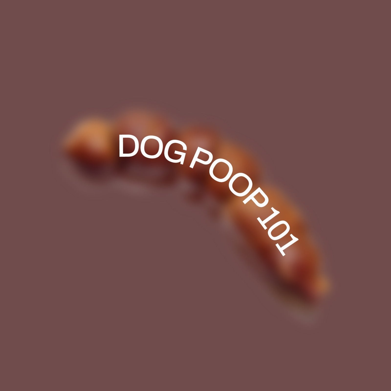 Understanding Your Dog's Stool Health